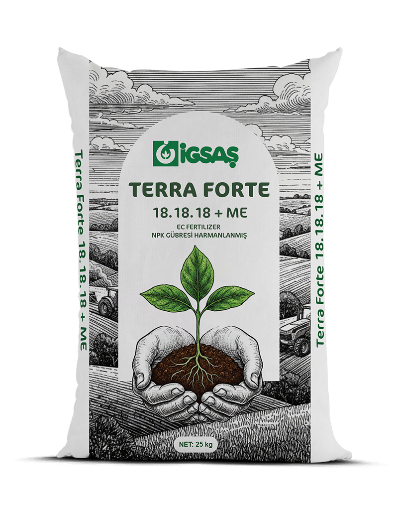 Terra Forte 18.18.18+ME